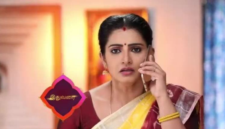 Pandian Stores 6th May 2024 Written Episode