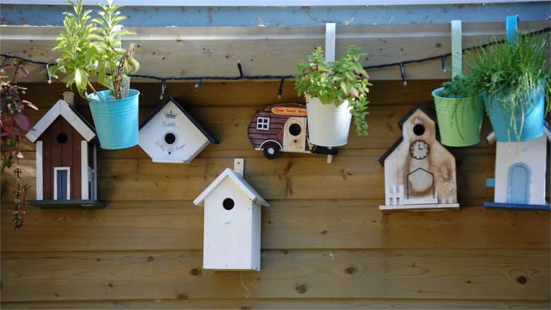 Feathered Haven Exploring the World of Birdhouses